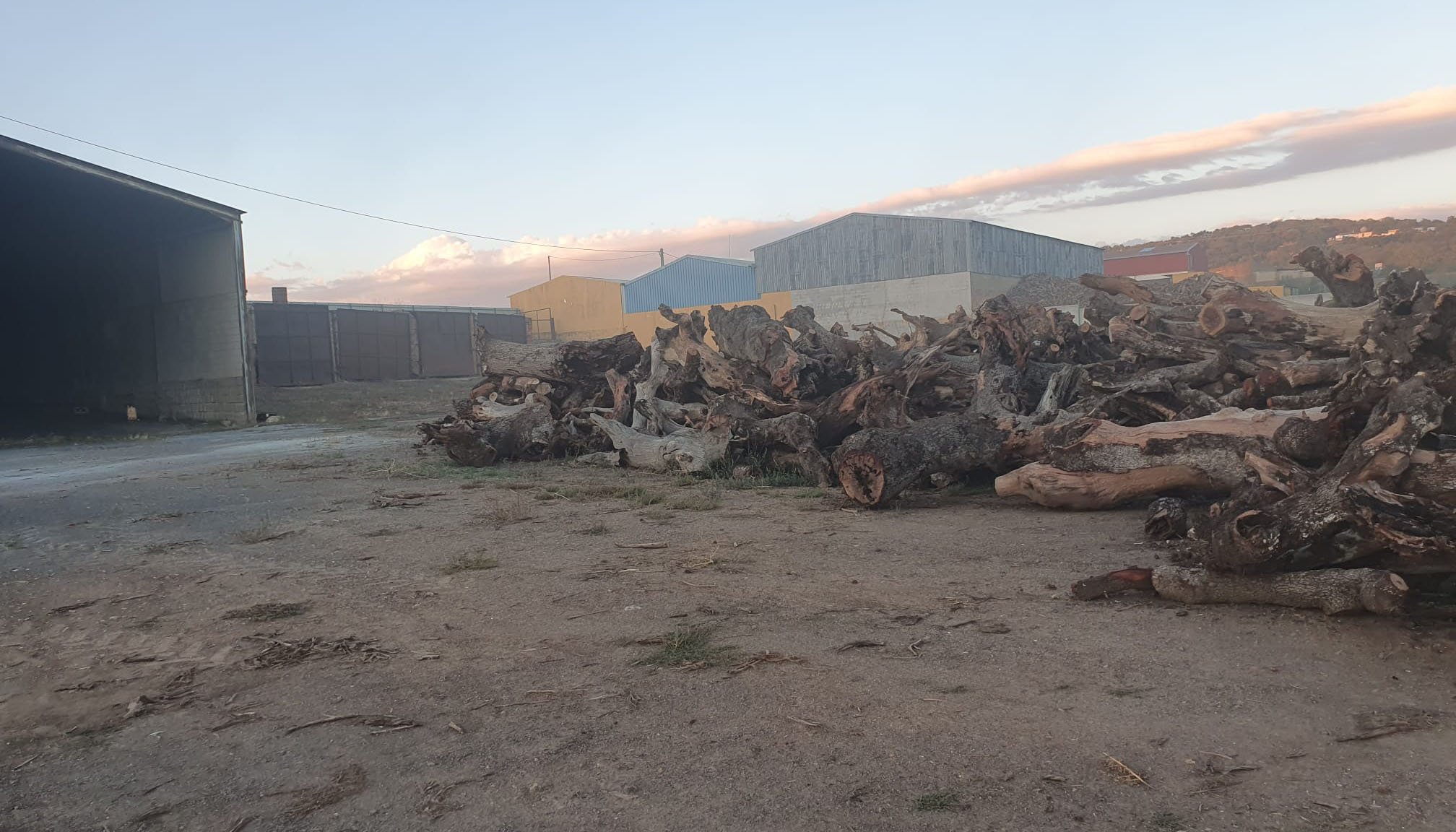 Inecasa Galería de Imágenes y Foto número 1