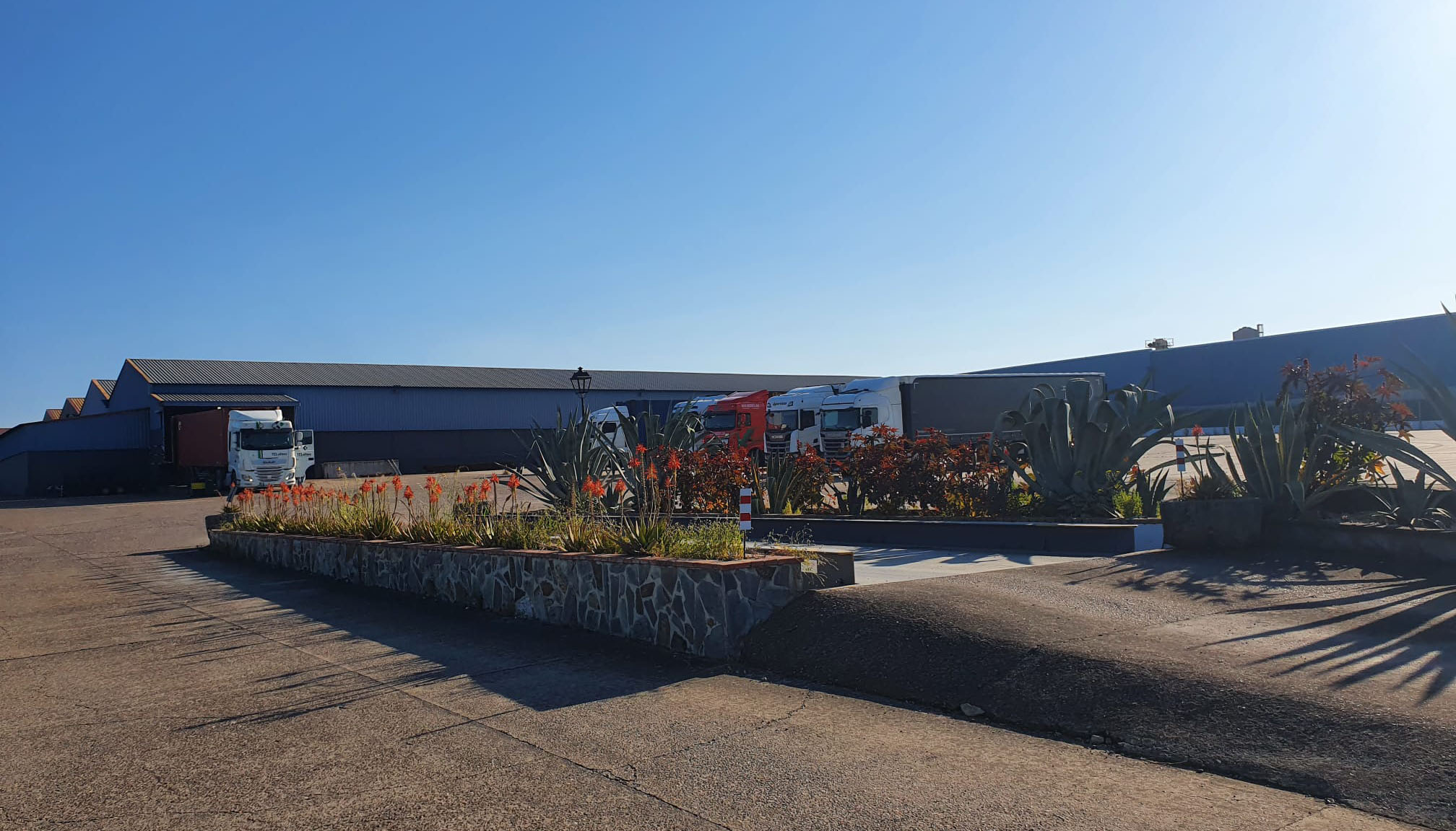 Inecasa Galería de Imágenes y Foto número 6