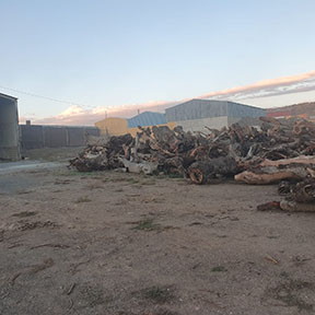 Inecasa Galería de Imágenes y Miniatura número 1