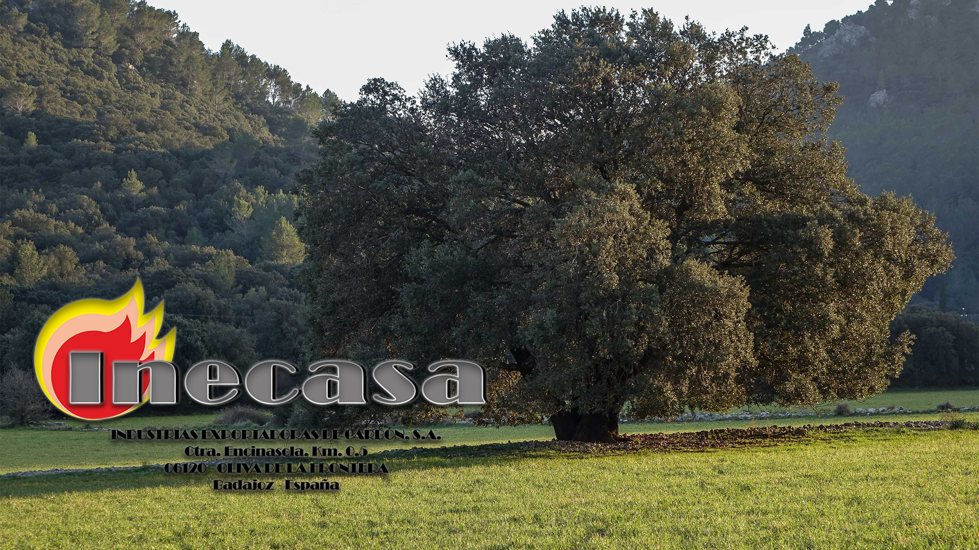 Inecasa Imagen de Cabecera número 1