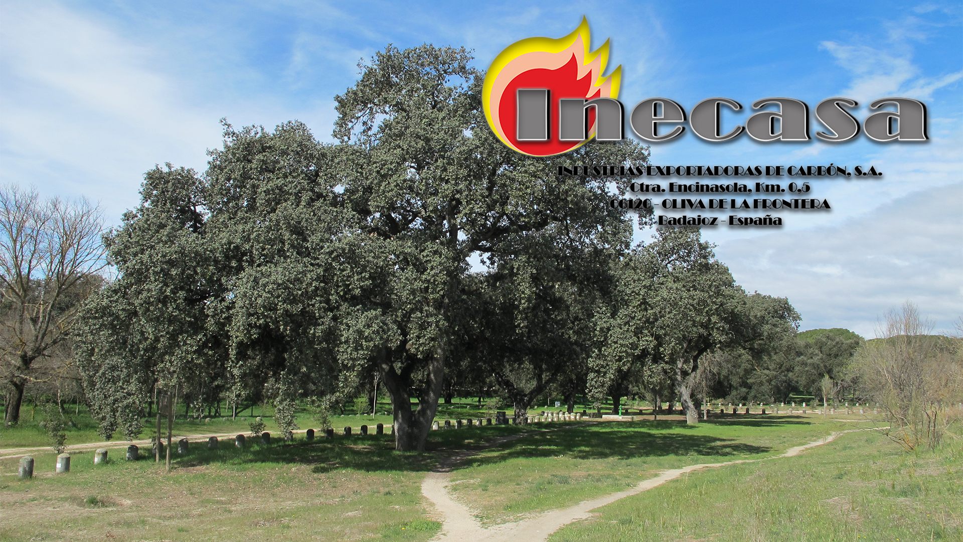 Inecasa Imagen de Cabecera número 2