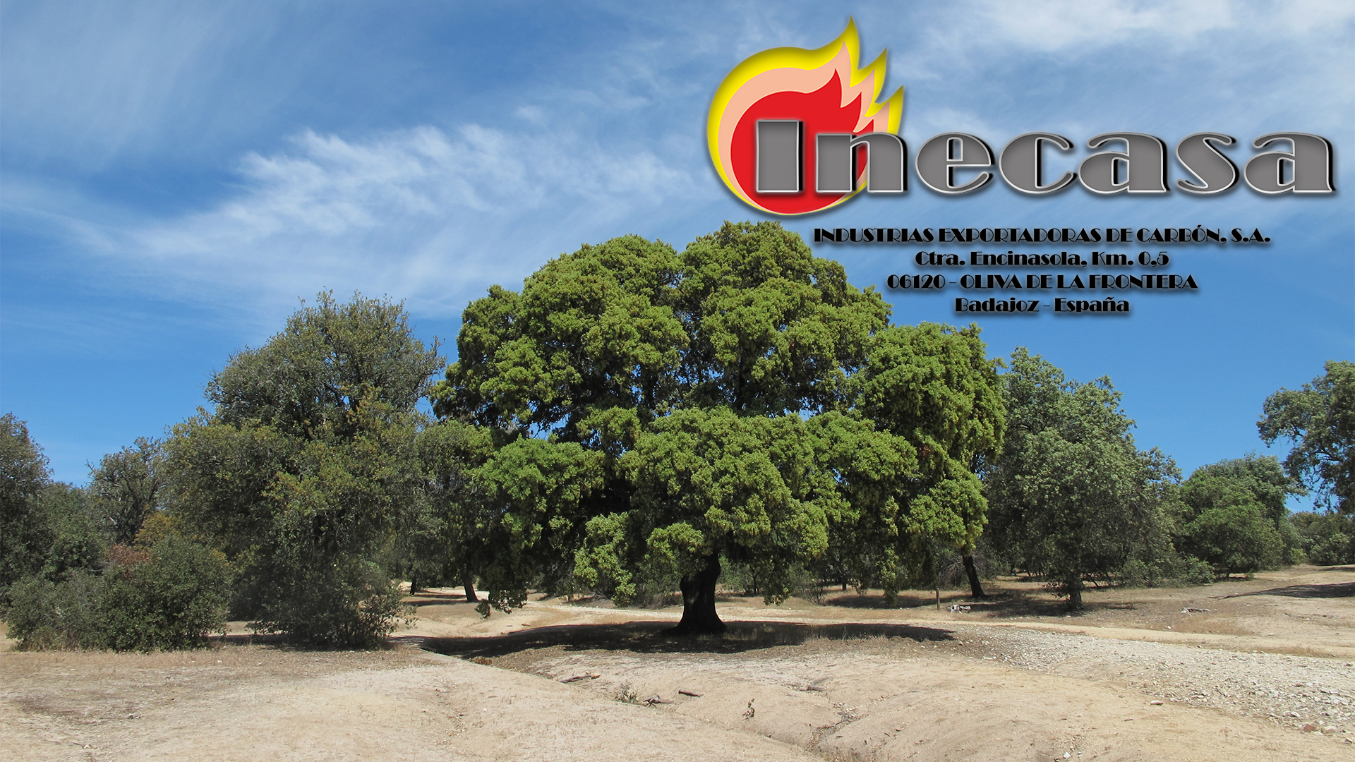 Inecasa Imagen de Cabecera número 3